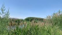 Qare Qeshlaq Wetland