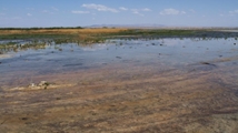 Qare Qeshlaq Wetland