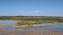 Qare Qeshlaq Wetland