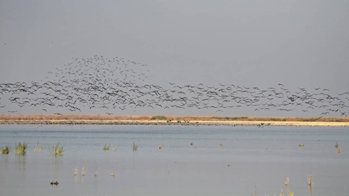 Qare Qesghlaq Wetland